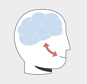 Das Gehirn steuert das Sprechen. Stottern ist eine neurologisch bedingte Störung des Sprechens. Szene aus einem Erklärfilm über Stottern: ein Kopf im seitlichen Querschnitt, man sieht das Gehirn und einen wechselseitigen Pfeil vom Hirn zum Mund.